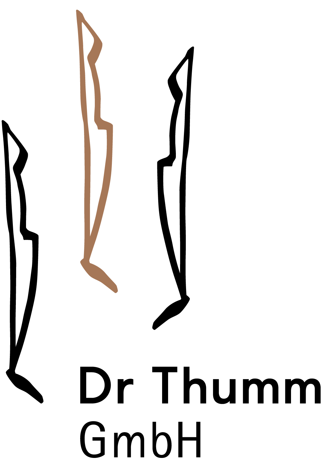 Dr. Thumm GmbH